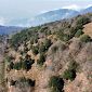 Comuni montani, sostegno dalla Regione