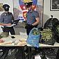 Coltivano marijuana nel giardino condominiale