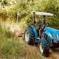 Al via il restyling di 60 km di sentieri tra verde e natura