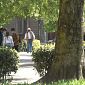Arriva il Maggio dei libri