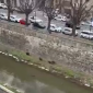 Cinghiali di corsa lungo il torrente cittadino - VIDEO