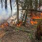 Incendio nel Lucchese, squadra dall'Elba