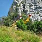 Tragedia sulle Apuane, muore davanti ai nipoti