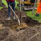 Da Ecofor oltre 900 nuovi alberi in tre comuni