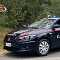Blitz nei boschi, sette arresti e droga a fiumi