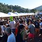 Ferragosto in giro per sagre