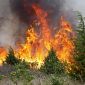 Fiamme nelle vicinanze dell'Aurelia