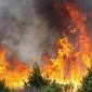 Prorogato il periodo a rischio incendi boschivi