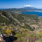 "L’Elba è una sola destinazione"