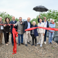Scapigliato, il vivaio circolare e il progetto Paulownia