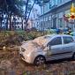 Albero cade su due auto in sosta