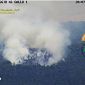 Fiamme spinte dal vento nel bosco di querce
