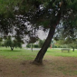 Area verde in memoria del dottor Vendramin