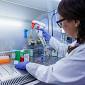 Un muscolo artificiale per controllare le protesi