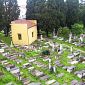 Cultura, quasi 7 milioni tra Pisa e Montescudaio