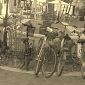 Rimosse le biciclette abbandonate