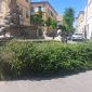 Più piante e più cura del verde in centro città