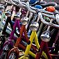 Pedalando alla scoperta della cultura 