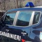 "Un coccodrillo nel laghetto" e scattano le ricerche