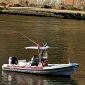 Reti da pesca illegali nel fiume Arno