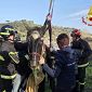 Paura per un cavallo caduto in un torrente