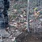 Vandalizzati gli alberi dedicati a Mirko ed Eva
