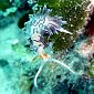 Un viaggio tra i colori del mare con Sauro Gennai