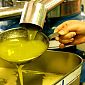 L'industria dell'olio d'oliva al top in Italia