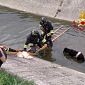 Cane resta bloccato in un canale di scolo