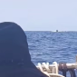 Flotilla, attivisti toscani su una barca intercettata da Israele