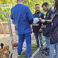 100 cagnolini nell'allevamento degli orrori