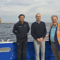 Secche della Meloria, posidonia sorvegliate speciale
