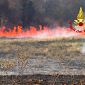 Incendio di bosco divampa e minaccia i poderi
