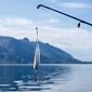 Pesca fluviale: quali strategie per ottimizzare la lettura delle acque?