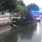 Maltempo, grosso ramo precipita sulla strada