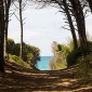 Ai Tomboli l'omaggio ai Forestali