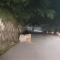 Grosso masso cade in mezzo alla strada