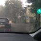 Meteo, chiusi cimiteri e parchi del capoluogo