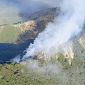 Le fiamme divorano ettari di bosco