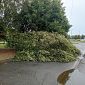 Chiusi i parchi comunali per l'allerta meteo