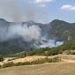 Il bosco brucia ancora, in fumo 50 ettari