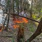 Incendio Monte Faeta, altri volontari dall'Elba