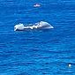 Oceano a remi, all'Elba per allenarsi