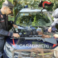 Caccia al cardellino, due denunciati