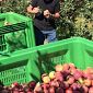 Quasi 61 milioni a 21.200 imprese agricole
