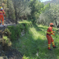 Scoppia un incendio e salta fuori una piantagione di marijuana
