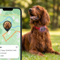 Ecco il nuovo localizzatore PET Finder 4G per cani