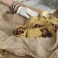 Due giorni di mercatini e castagne