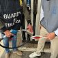 Gasolio annacquato o rischioso, 105mila litri sequestrati