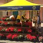 L'azalea della ricerca torna in piazza
